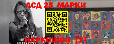 гашик Новодвинск