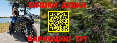 гашик Новодвинск
