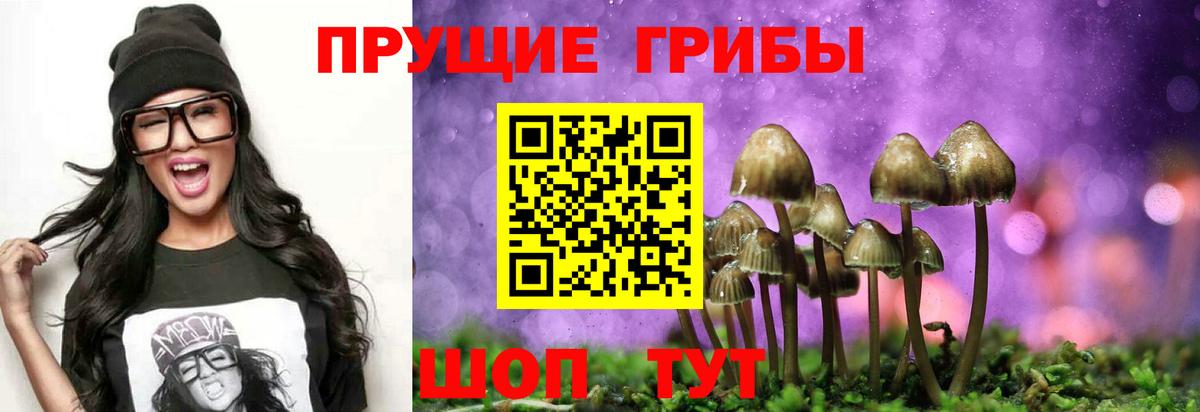 Псилоцибиновые грибы MAGIC MUSHROOMS  сколько стоит  Вход с VPN  Ханты-Мансийск  Псилоцибиновые грибы Cubensis 